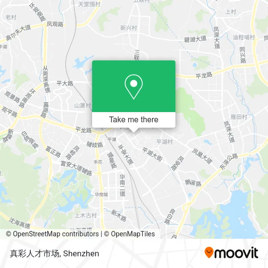 真彩人才市场 map