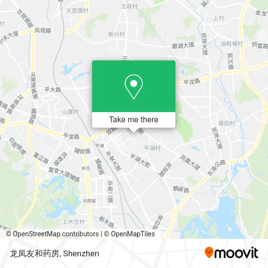 龙凤友和药房 map