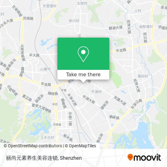 丽尚元素养生美容连锁 map