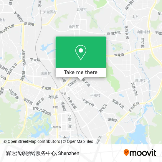 辉达汽修胎铃服务中心 map