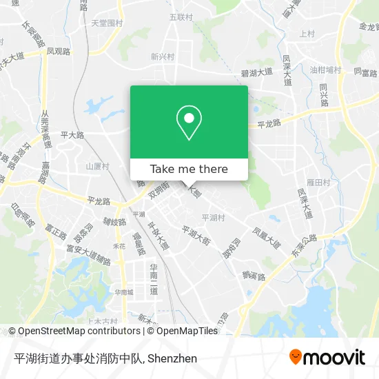 平湖街道办事处消防中队 map