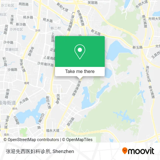 张迎先西医妇科诊所 map