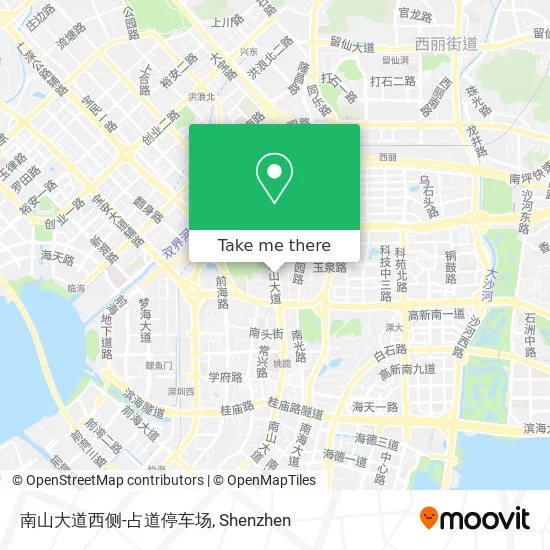 南山大道西侧-占道停车场 map