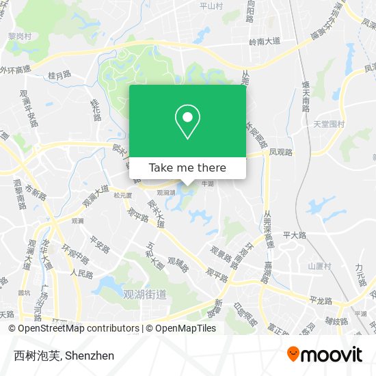 西树泡芙 map