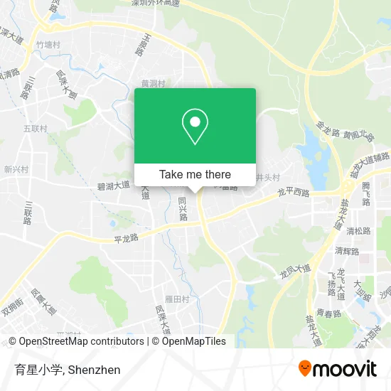 育星小学 map