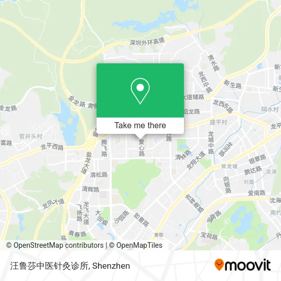 汪鲁莎中医针灸诊所 map