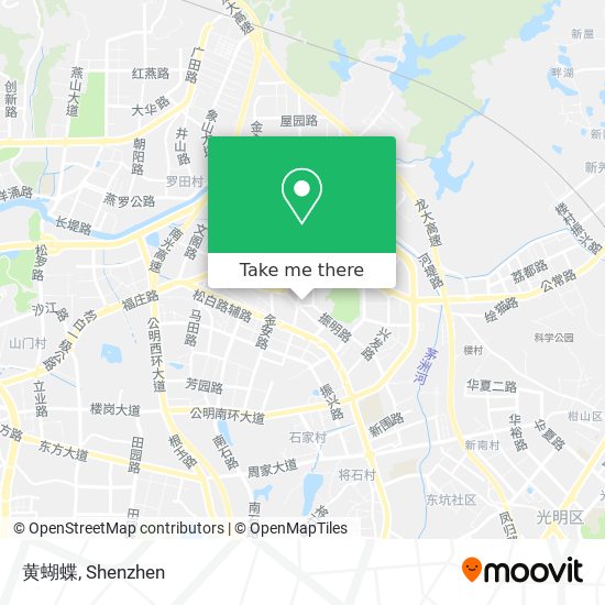 黄蝴蝶 map