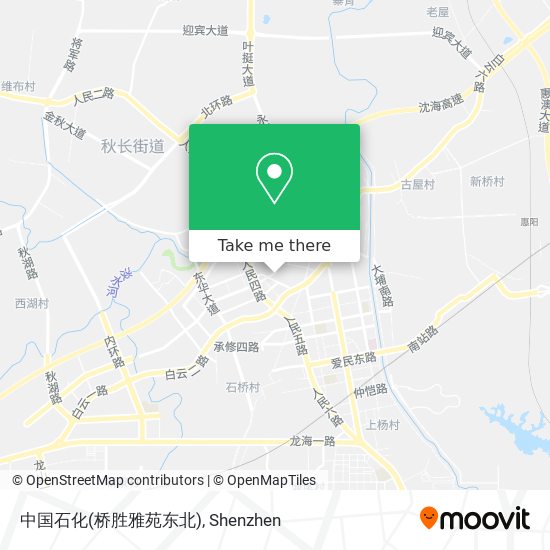 中国石化(桥胜雅苑东北) map