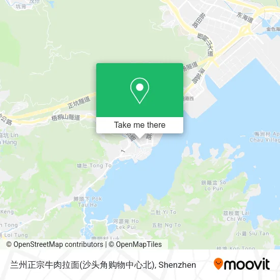 兰州正宗牛肉拉面(沙头角购物中心北) map