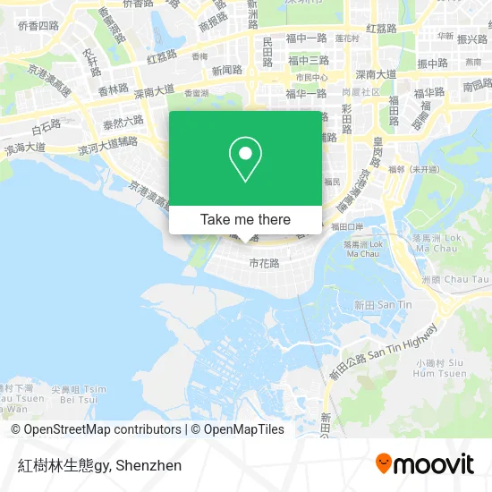 紅樹林生態gy map