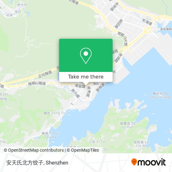 安天氏北方饺子 map