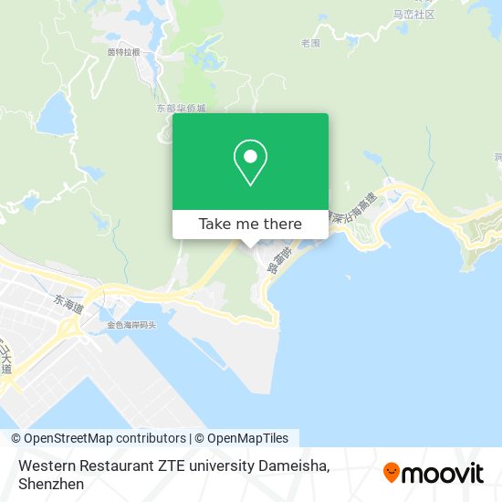 Western Restaurant ZTE university Dameisha map