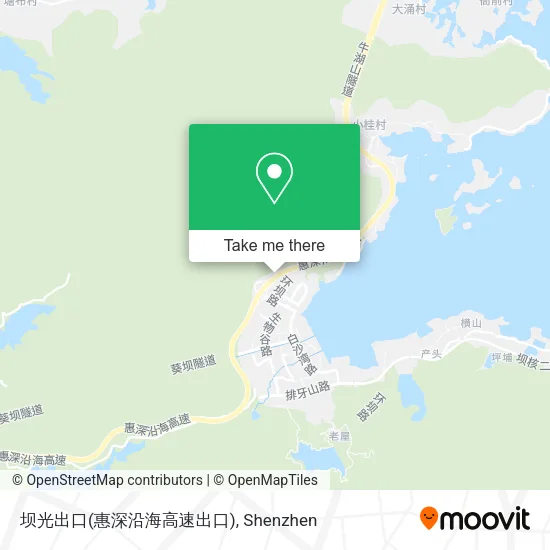 坝光出口(惠深沿海高速出口) map