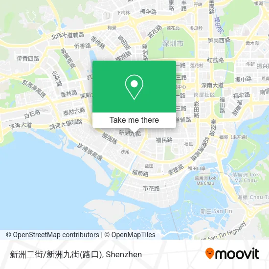 新洲二街/新洲九街(路口) map
