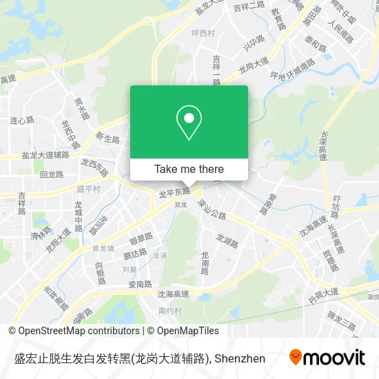 盛宏止脱生发白发转黑(龙岗大道辅路) map