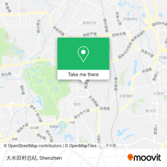 大水田村总站 map