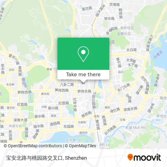宝安北路与桃园路交叉口 map