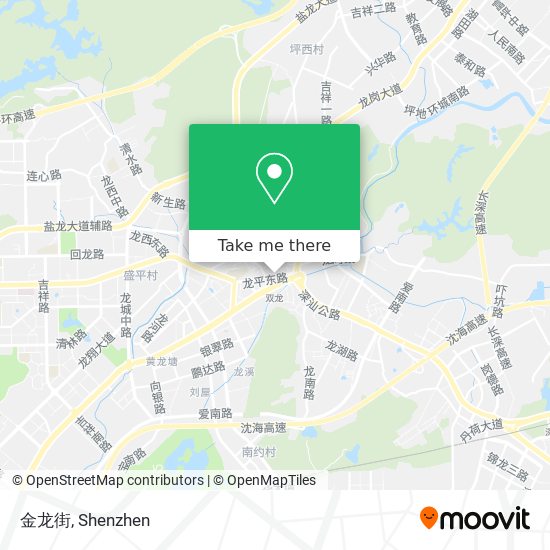 金龙街 map