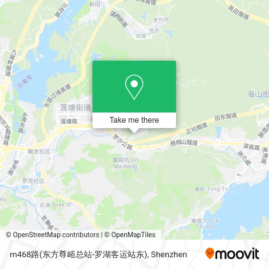 m468路(东方尊峪总站-罗湖客运站东) map