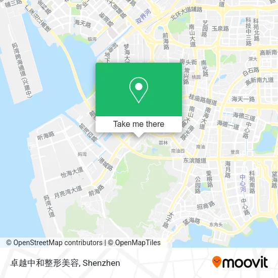卓越中和整形美容 map
