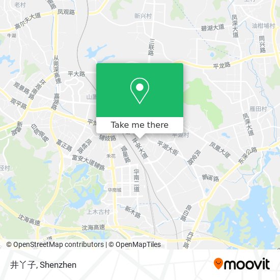 井丫子 map