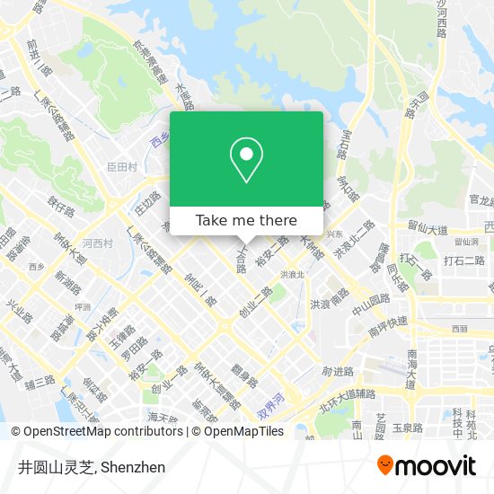 井圆山灵芝 map