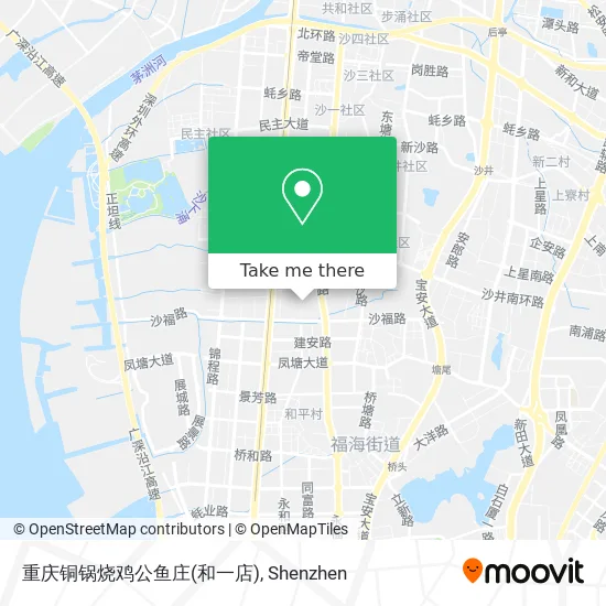 重庆铜锅烧鸡公鱼庄(和一店) map