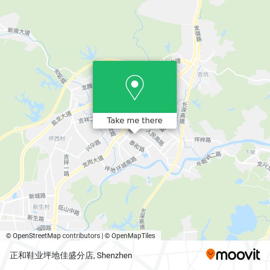 正和鞋业坪地佳盛分店 map