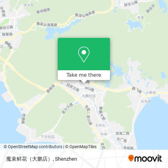 魔束鲜花（大鹏店） map
