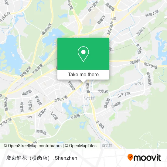 魔束鲜花（横岗店） map