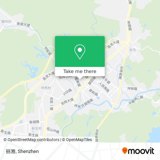 丽雅 map