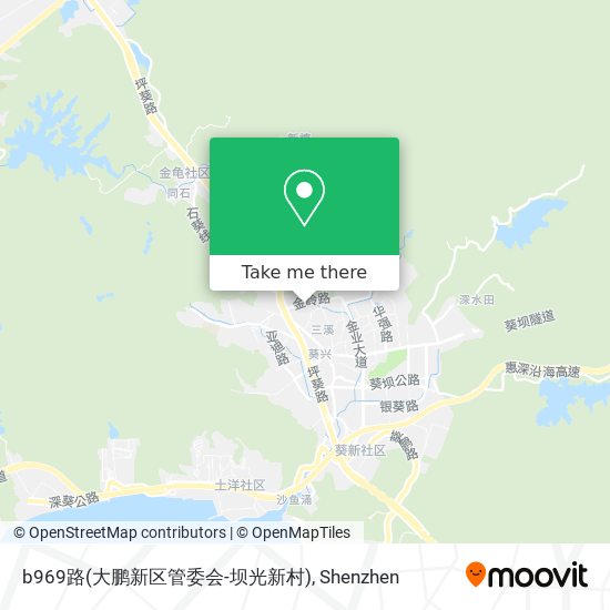 b969路(大鹏新区管委会-坝光新村) map