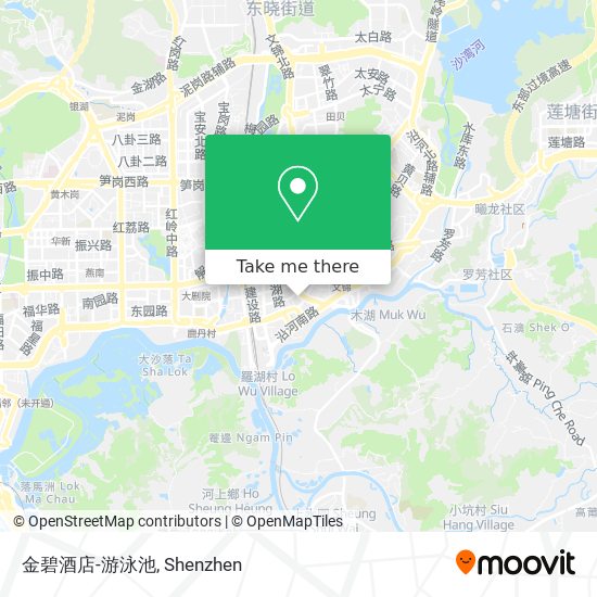 金碧酒店-游泳池 map