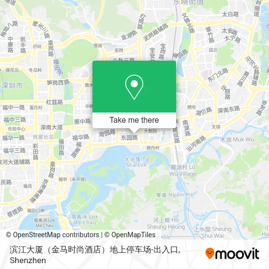 滨江大厦（金马时尚酒店）地上停车场-出入口 map