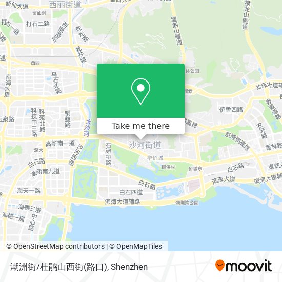 潮洲街/杜鹃山西街(路口) map