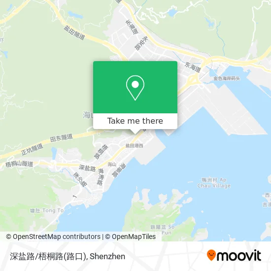深盐路/梧桐路(路口) map