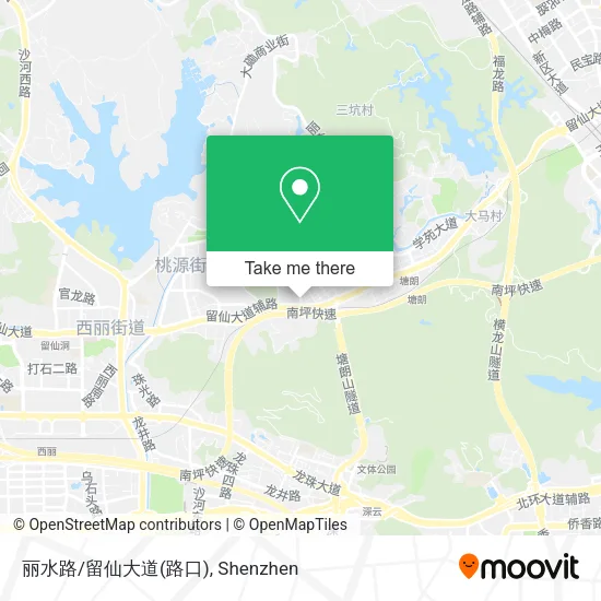 丽水路/留仙大道(路口) map