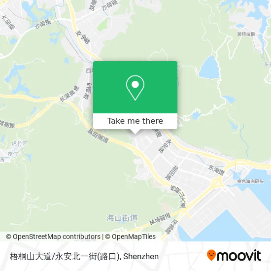 梧桐山大道/永安北一街(路口) map