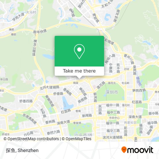 探鱼 map