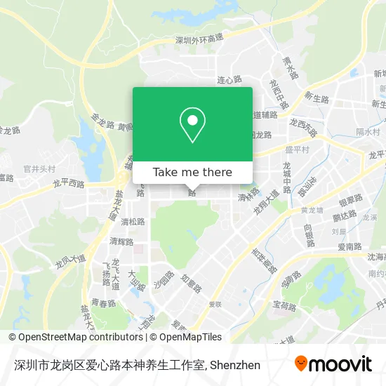 深圳市龙岗区爱心路本神养生工作室 map