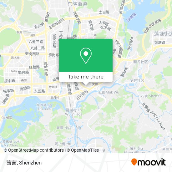 茜茜 map