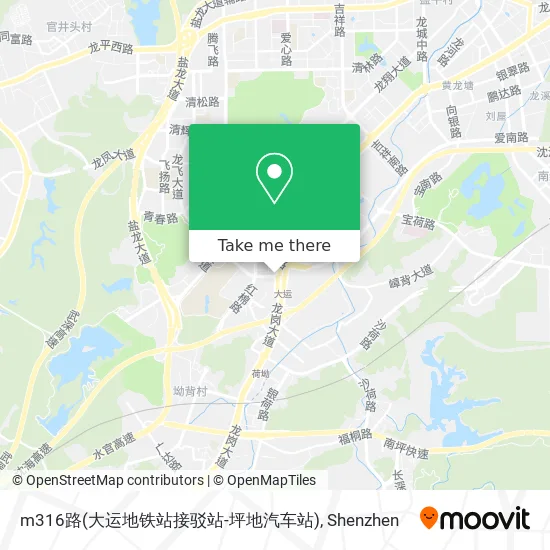 m316路(大运地铁站接驳站-坪地汽车站) map