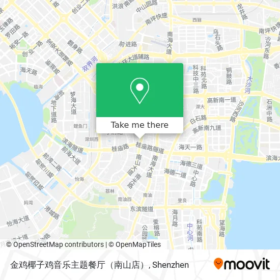 金鸡椰子鸡音乐主题餐厅（南山店） map