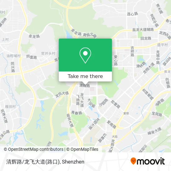 清辉路/龙飞大道(路口) map