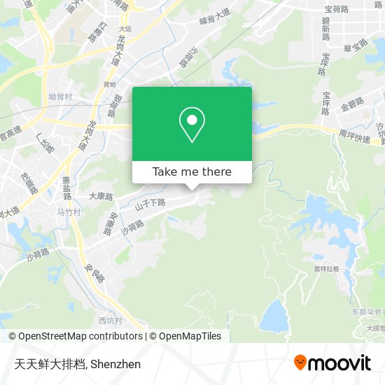 天天鲜大排档 map
