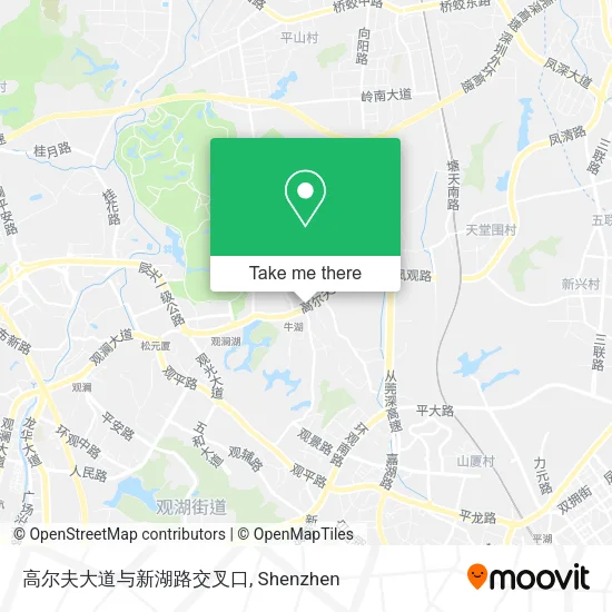 高尔夫大道与新湖路交叉口 map