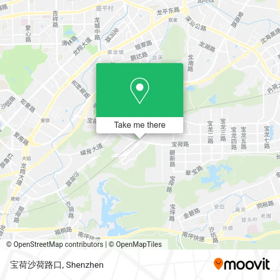宝荷沙荷路口 map