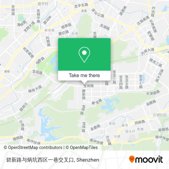 碧新路与炳坑西区一巷交叉口 map