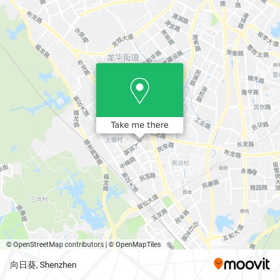 向日葵 map