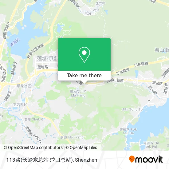 113路(长岭东总站-蛇口总站) map